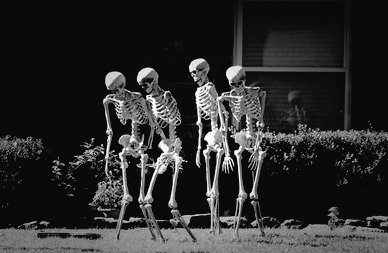 ArvindIyer15's tweet image. #vss365 #bones
No one thought much of it when a bunch of reanimated bones with neither flesh nor tissue on them walked out from the graveyard again into town one night, &amp;amp; entered a local restaurant where they placed a big, king-sized order. But when they began ravaging the food &amp;amp;