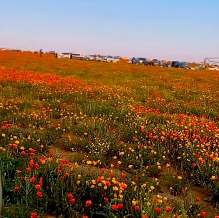 مع غروب شمس هذا اليوم :
اللهم افتح لنا أبواب الخير كلها،،
وأغلق عنا أبواب الشر كلها
اللهم أعنا على ذكرك وشكرك وحسن عبادتك