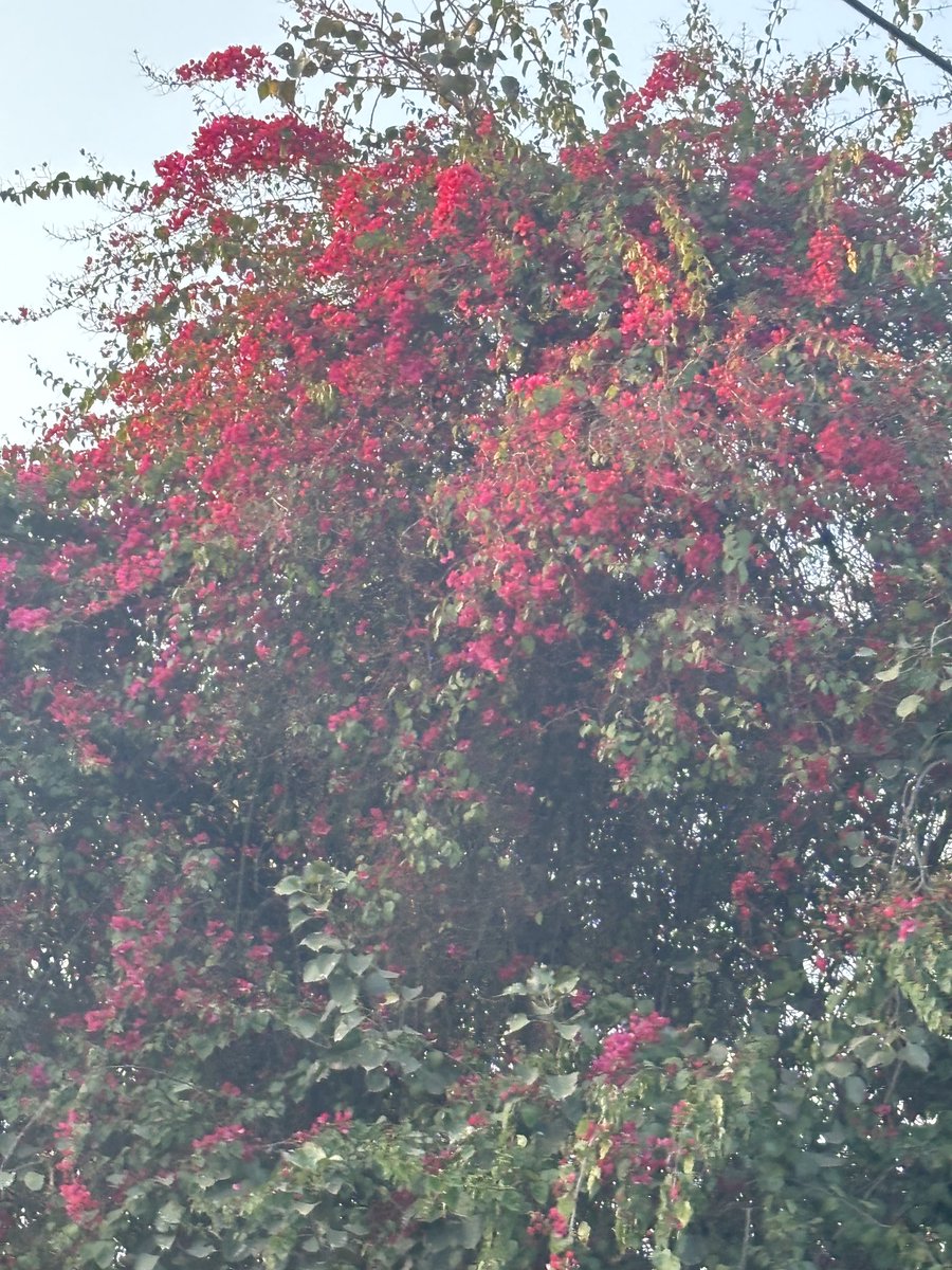 writings2030's tweet photo. Colours ☀️❤️ https://t.co/2ZgxGmpeNO