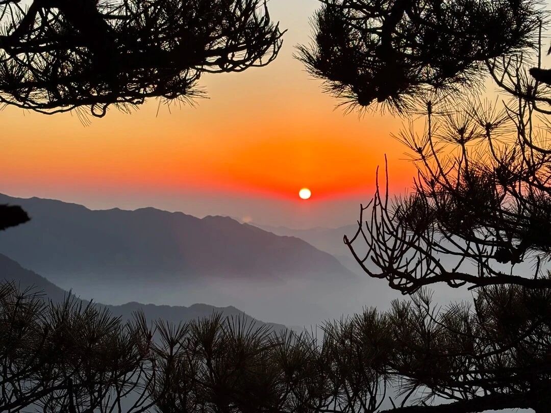 BeautyJiangxi's tweet image. Beautiful Jiangxi: Feast your eyes on golden sunsets across Jiangxi, where dusk paints diverse landscapes in warm light.