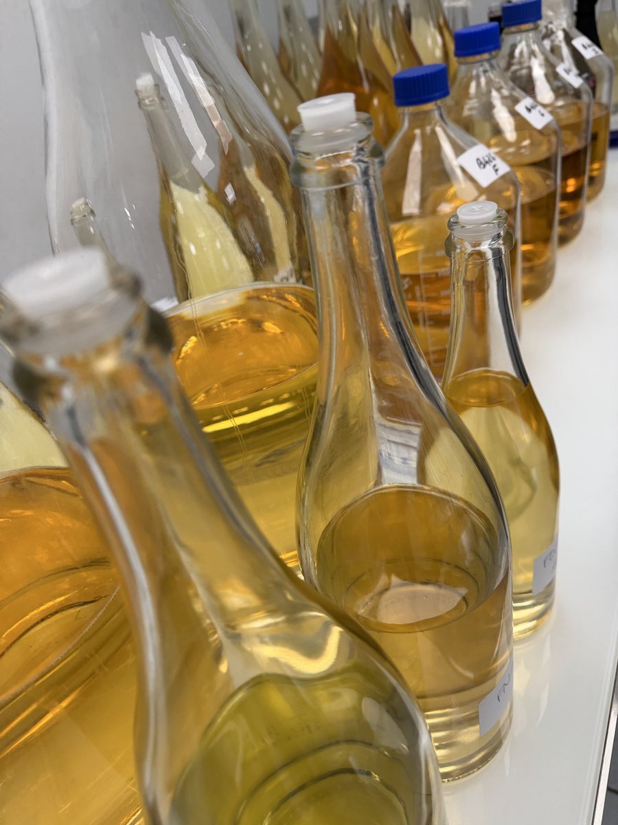 Louis Roederer tweet media