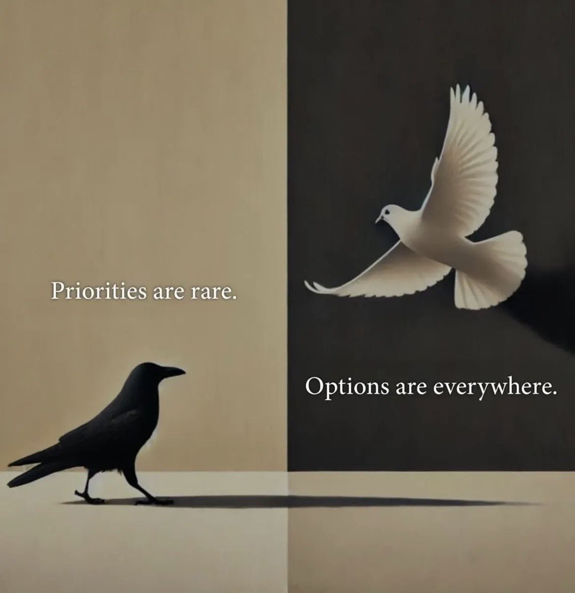 payal9876's tweet image. 