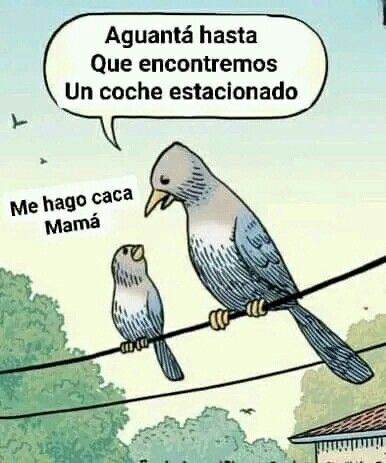 ymuchosmemes's tweet photo. https://t.co/9k8k2gthbX
