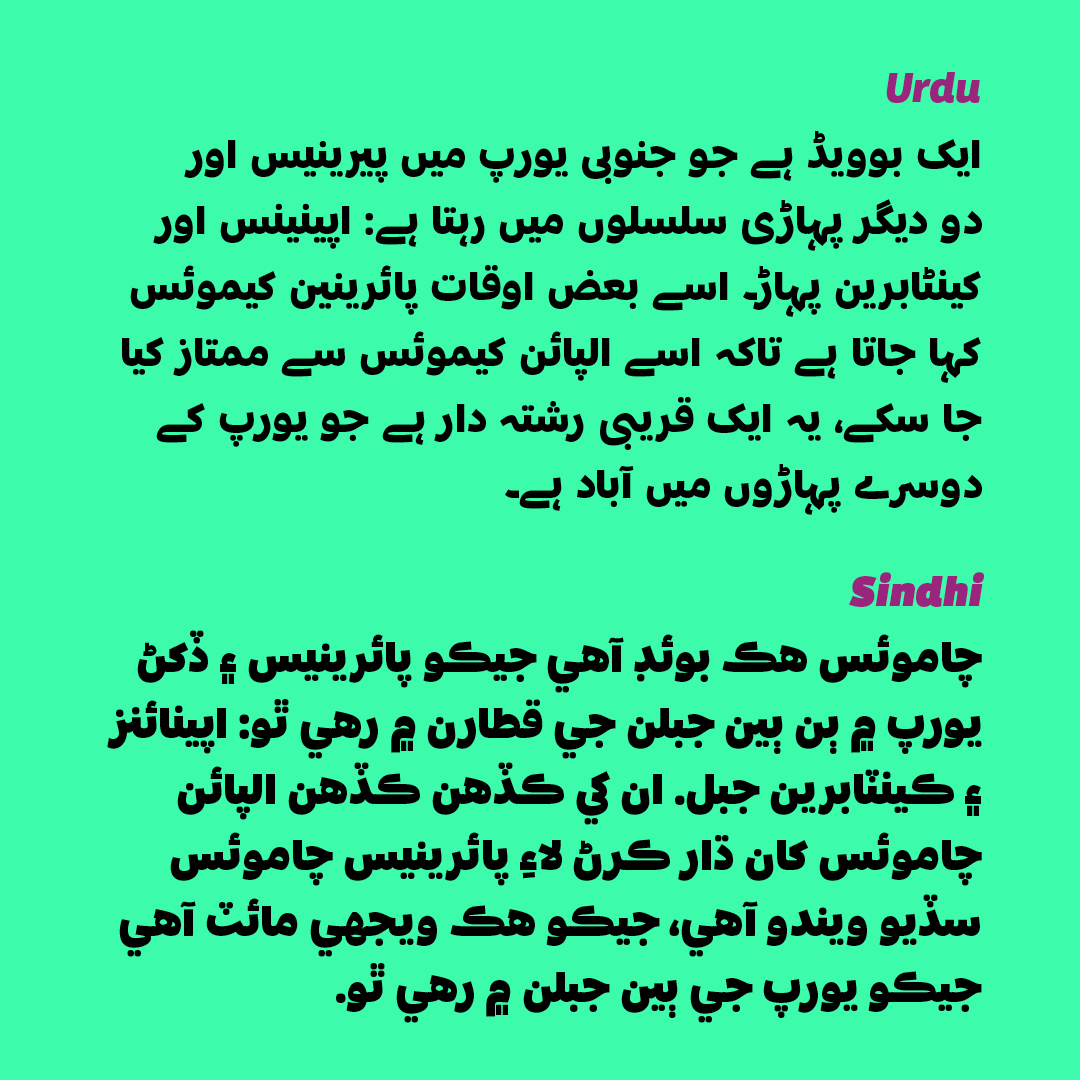 Letterjuice tweet media