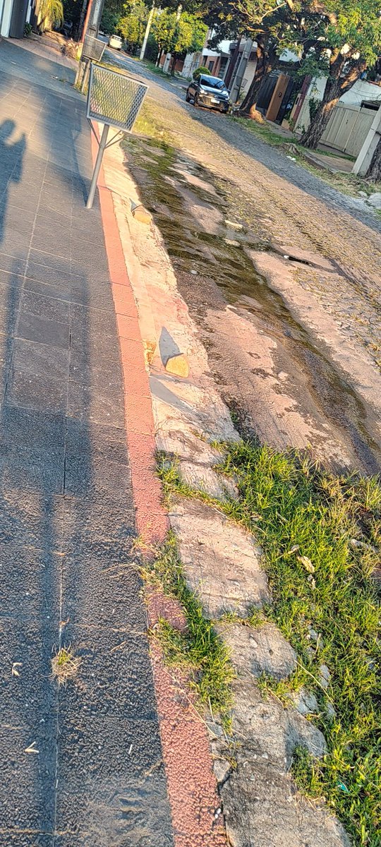 javier pettengill tweet media