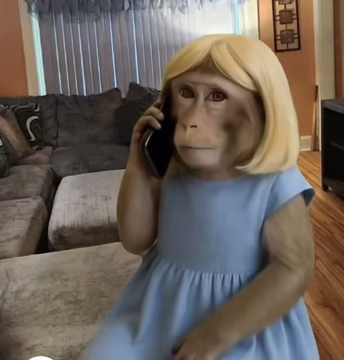 TopeDada17's tweet image. Calling someone
back and hoping they don't answer so i can use it as evidence that I tried😪