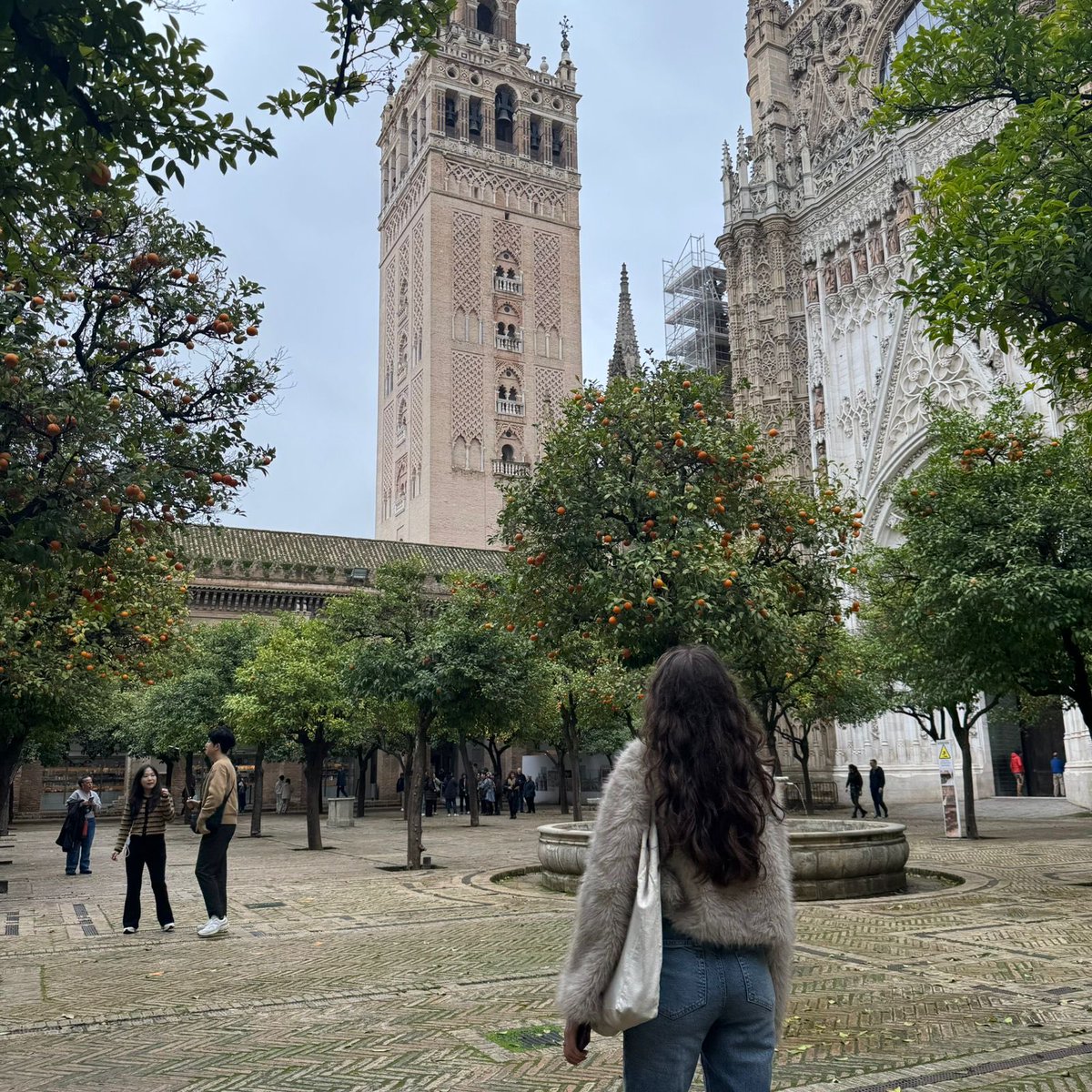 Si tienen la oportunidad de ir a Sevilla, vayan, es un lugar hermoso. 🍊