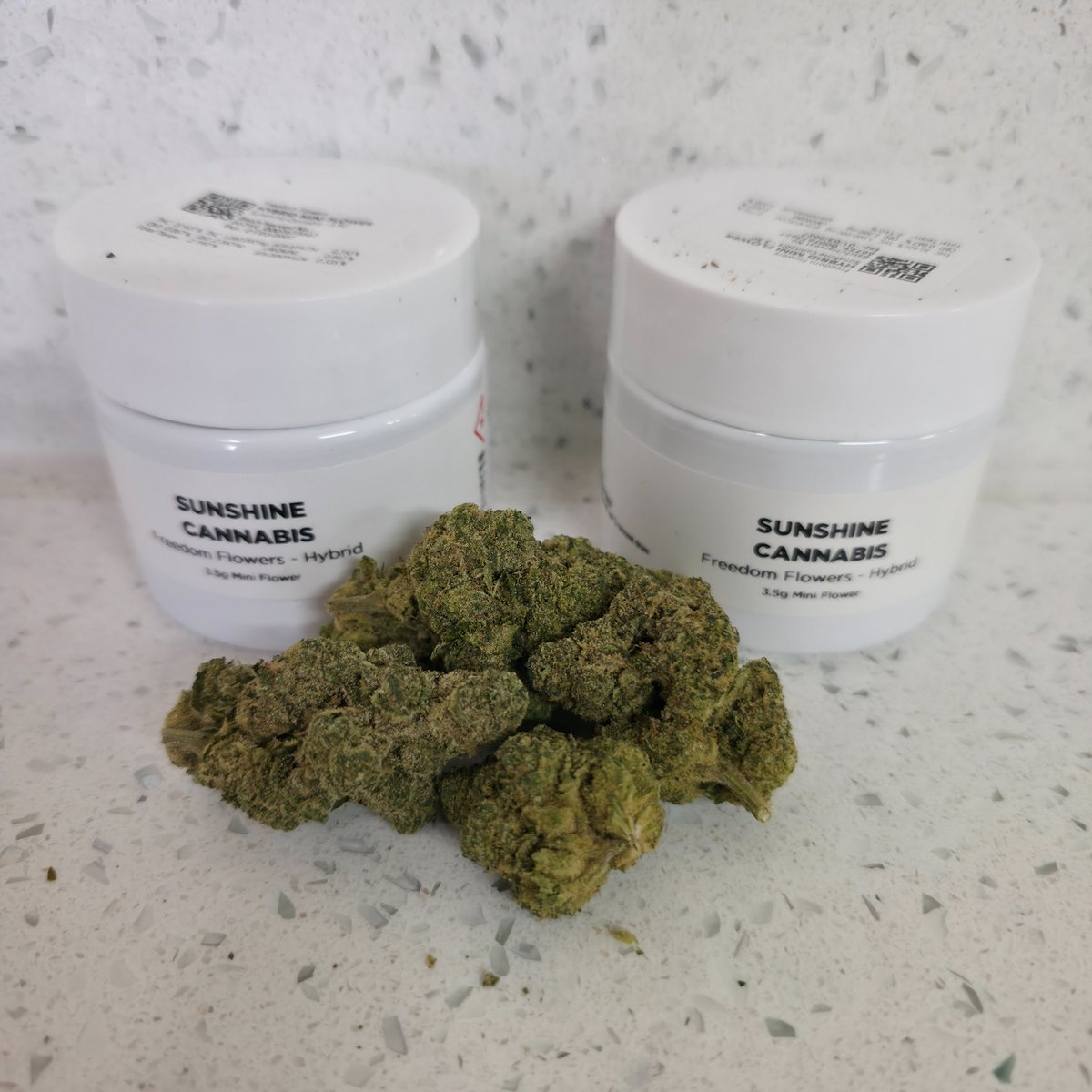 medical95222995's tweet photo. @Trulieve @southernstonerd I Bought #FreedomFlower minis by @SunshineCannab2 And this is what i got,
i went right back in and got 8 more
#Winning @Trulieve https://t.co/psN2BegNlI