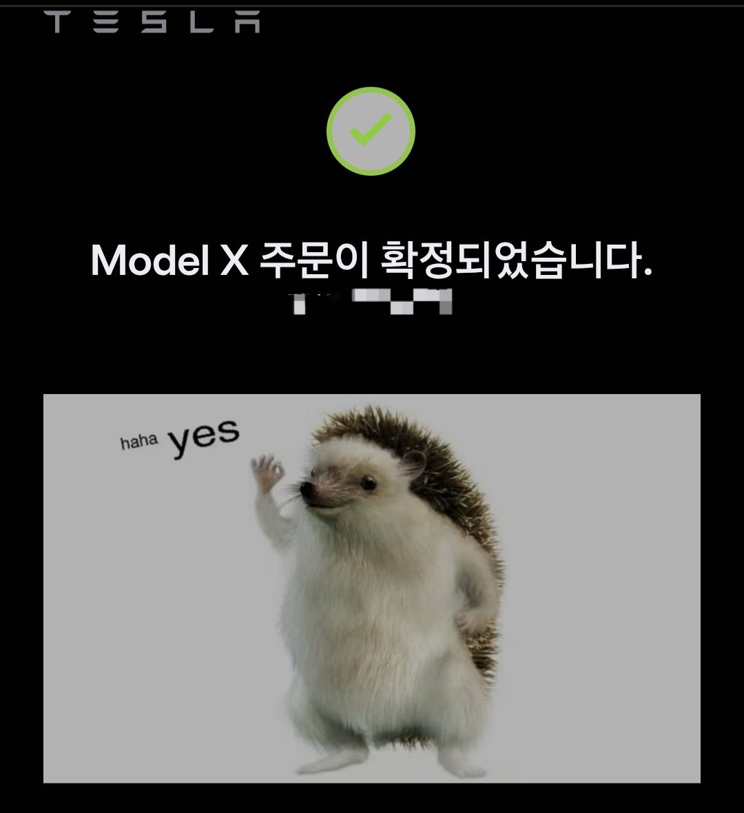 X_Real_Man_'s tweet image. 결국 못 참고 모델X 주문했습니다🤦‍♂️