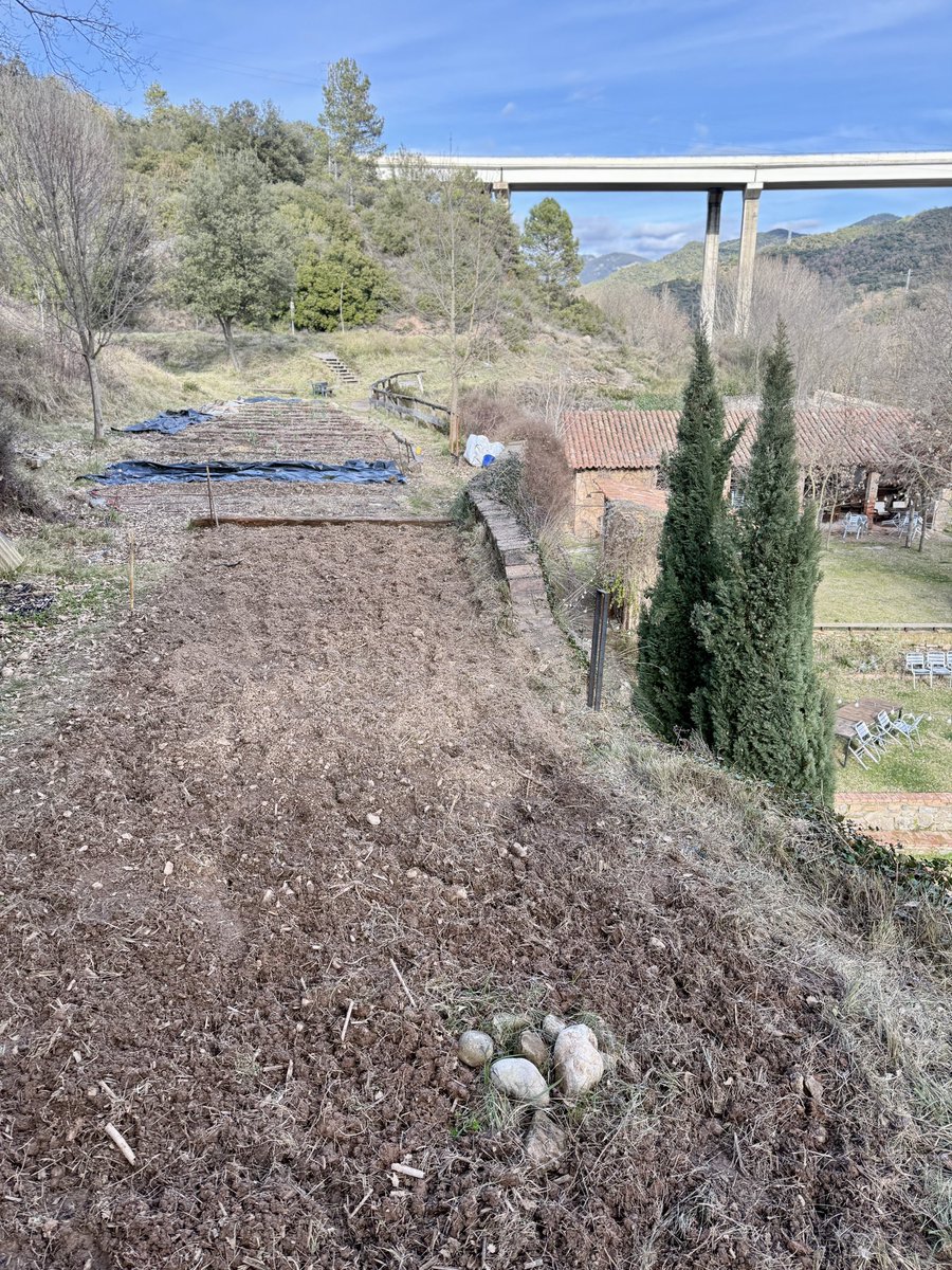 Pep Espelt tweet media