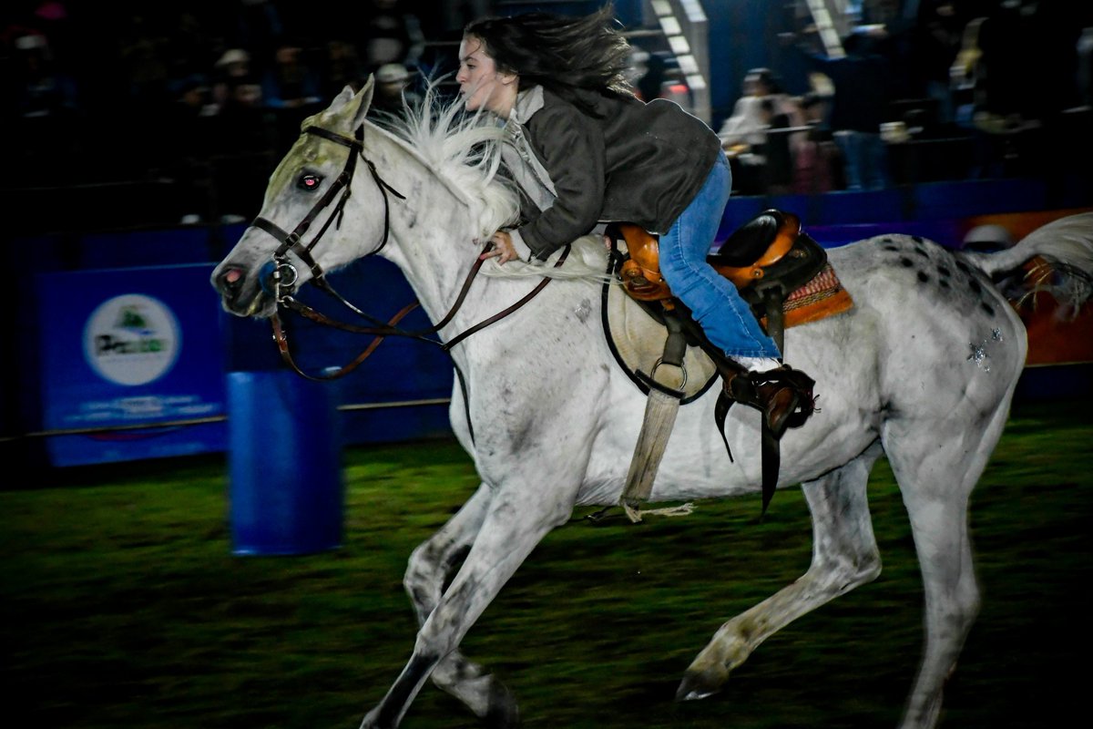 Con la asistencia de 4.500 personas, Paute vivió una noche inolvidable con el Gran Rodeo Americano Nocturno 🤠🐎
Tradición, cultura y emoción en el marco de los 166 años de cantonización.
#Paute166Años #RodeoAmericanoPaute #PauteViveLaTradición