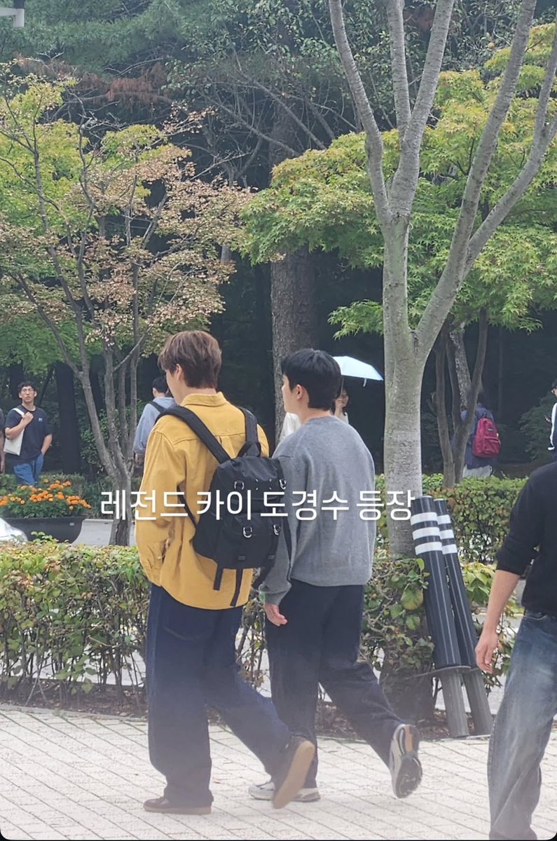 iglydks's tweet image. #lrt kaisoo in jeongwaja