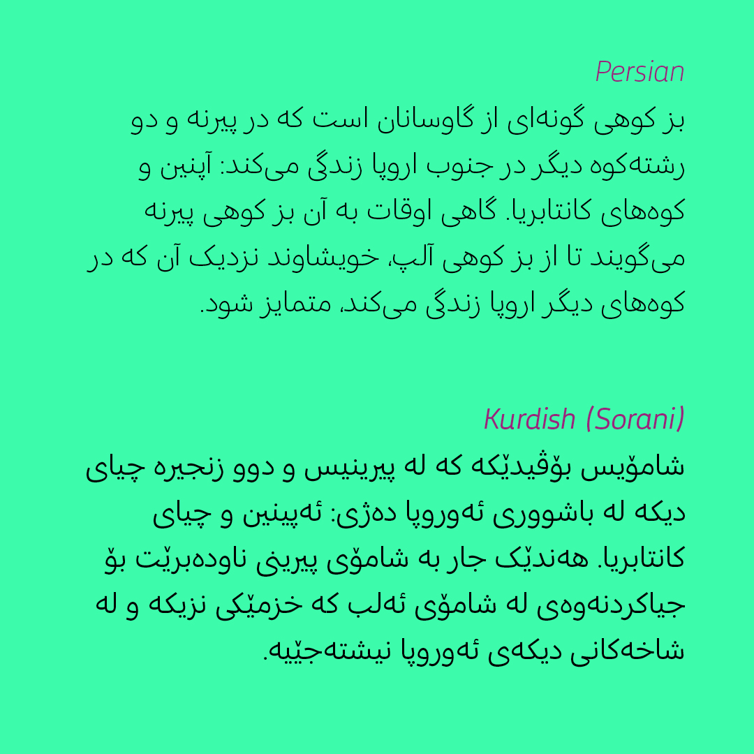 Letterjuice tweet media