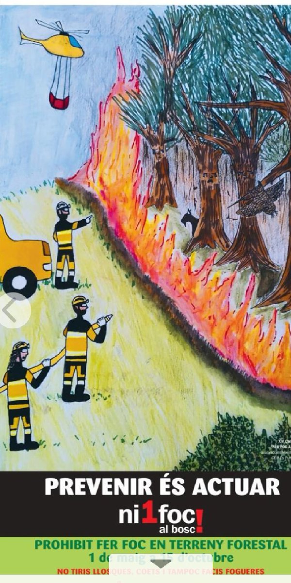 Col·legi d'Enginyers Forestals a les Illes Balears tweet media