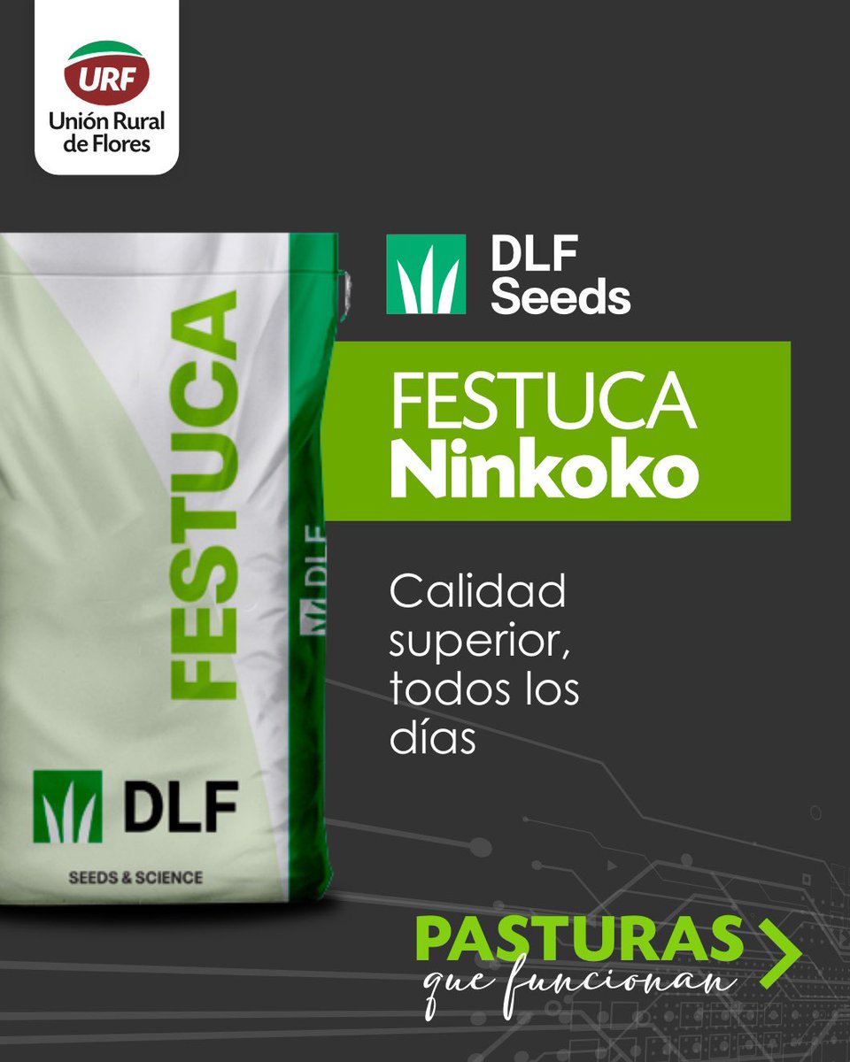 urf_cooperativa's tweet image. 🌱 Calidad que se nota en el sistema
Festuca Ninkoko es sinónimo de calidad superior todos los días.
Una festuca continental soft, de ciclo largo, seleccionada por su digestibilidad, sanidad foliar y excelente adaptación a los suelos de Uruguay.
Ideal para planteos de alta…