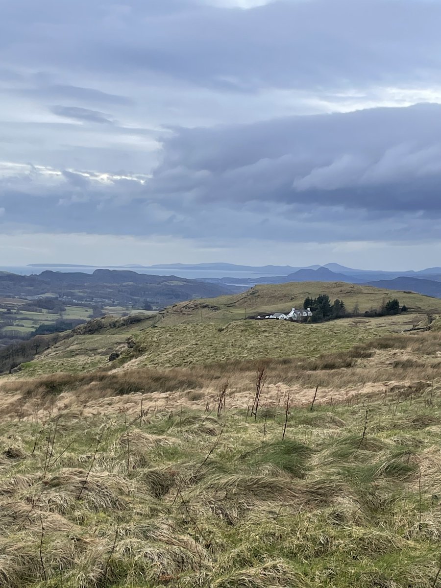 Justin Miles tweet media