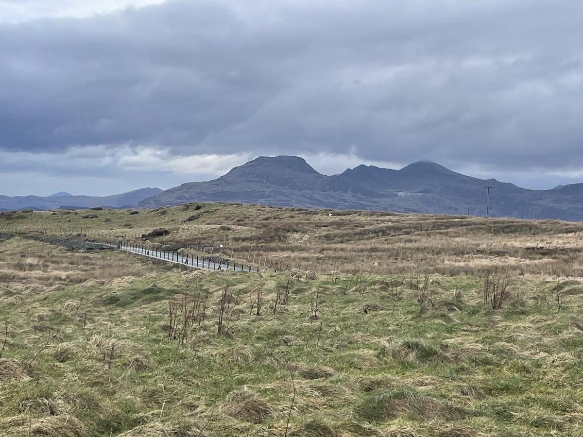 Justin Miles tweet media