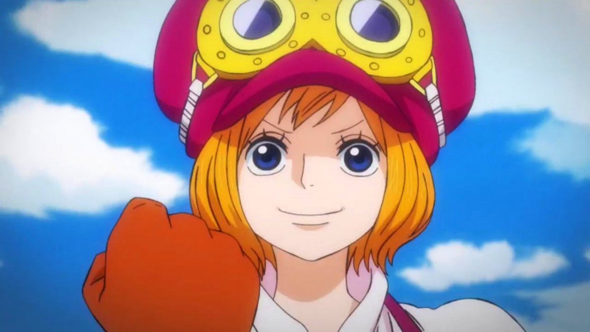 Daily Koala (@dailykoala1) on Twitter photo 