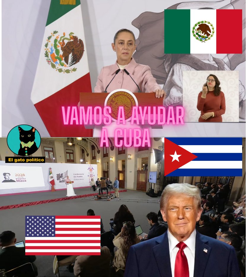 El gato político tweet media