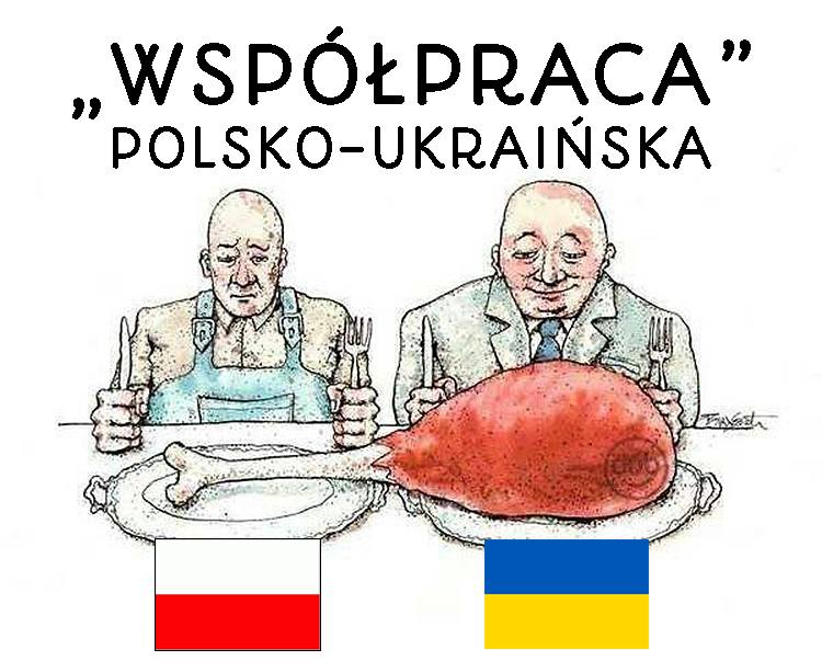 STOP praniu mózgów 🦅 tweet media