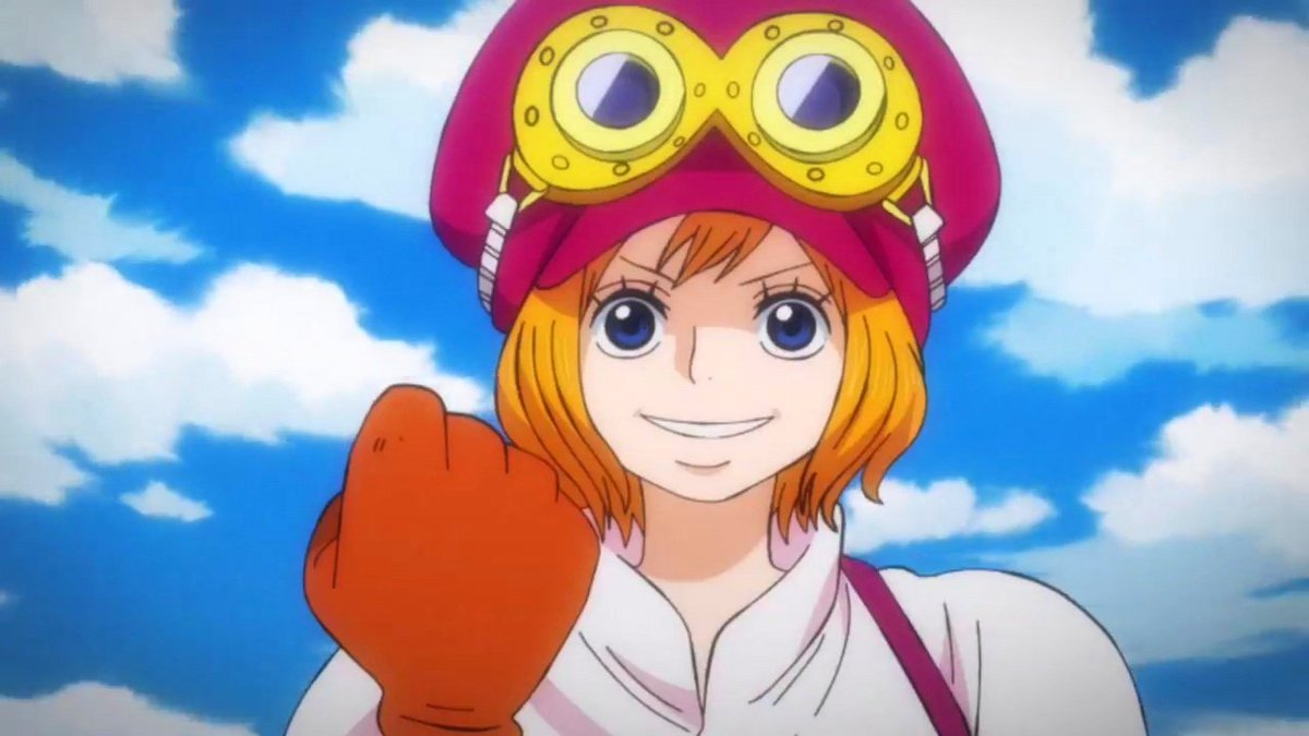 Daily Koala (@dailykoala1) on Twitter photo 