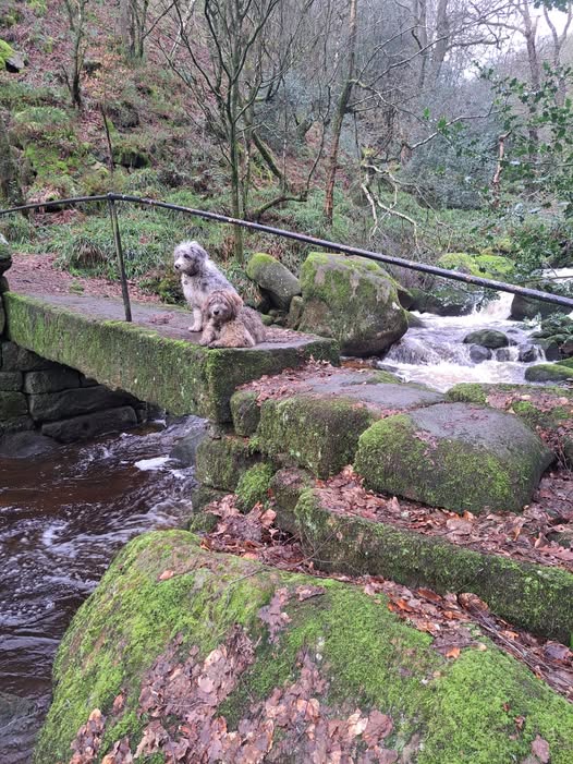 Countryside Learning tweet media