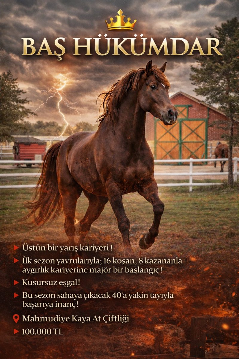 🏇 Yarış Rüzgarı 🌪️ (@yarisruzgari) on Twitter photo 