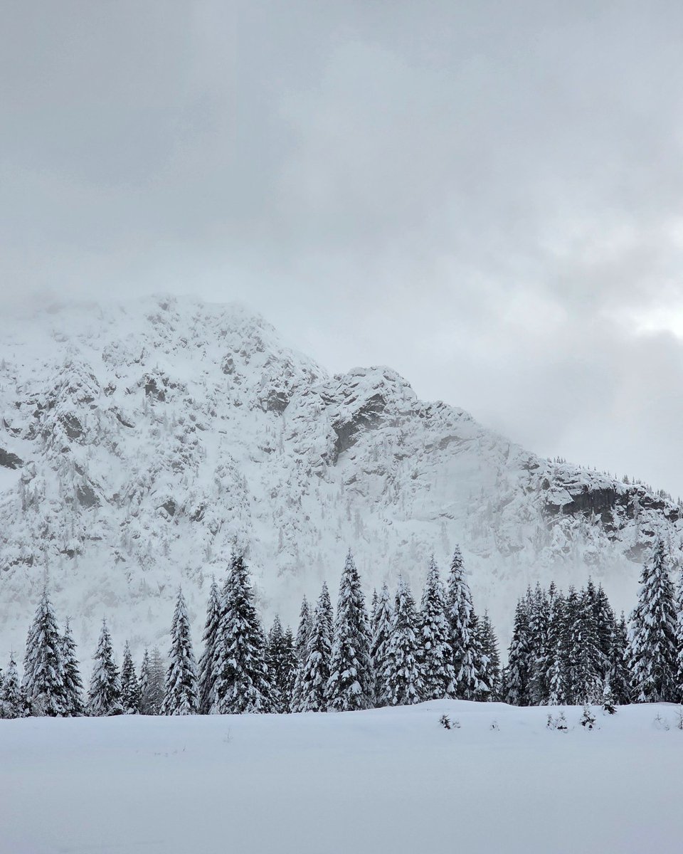 UCLan Cyprus tweet media