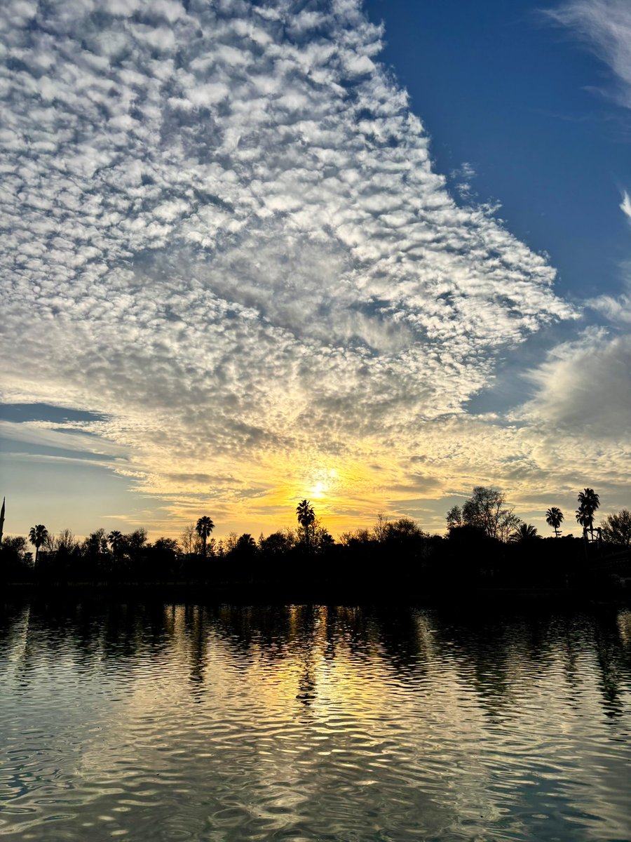 güzelim özgür kalmış 🤍🪽
#seyhannehri #adana #anlık