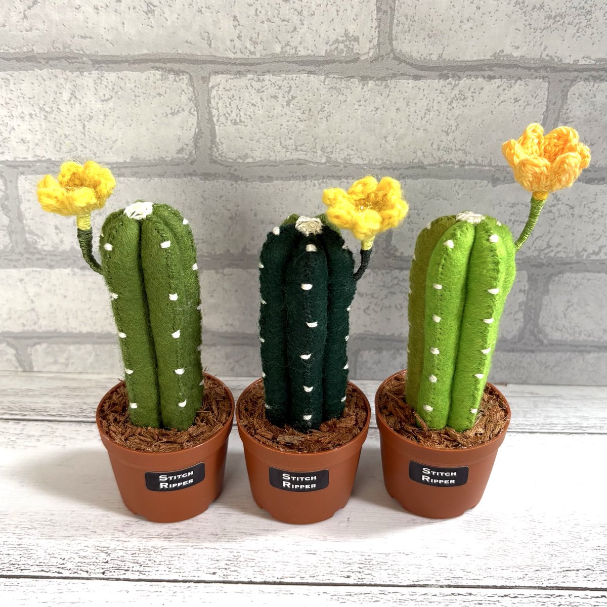 🌵花咲く柱サボテン、1.5号鉢に植えました
#サボテン #cactus #fakegreen 
#stitchripper #スティッチリッパー