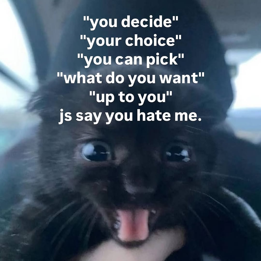 Catsillyness's tweet photo. https://t.co/jpT0dxybEc