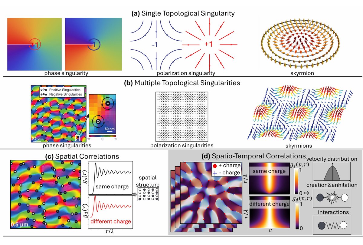 ad_quanta's tweet photo. New ACS Photonics Roadmap 🚀: Singularities of Random Waves in 2D Materials. 
Optical vortices aren’t just curiosities—2D polaritons make them tunable &amp; measurable 🔬.
Our new paper shows ultrafast dynamics and rare “superluminal” events ⚡

🔗 https://t.co/9Gn2ob8sre https://t.co/G4uxVhMpAl