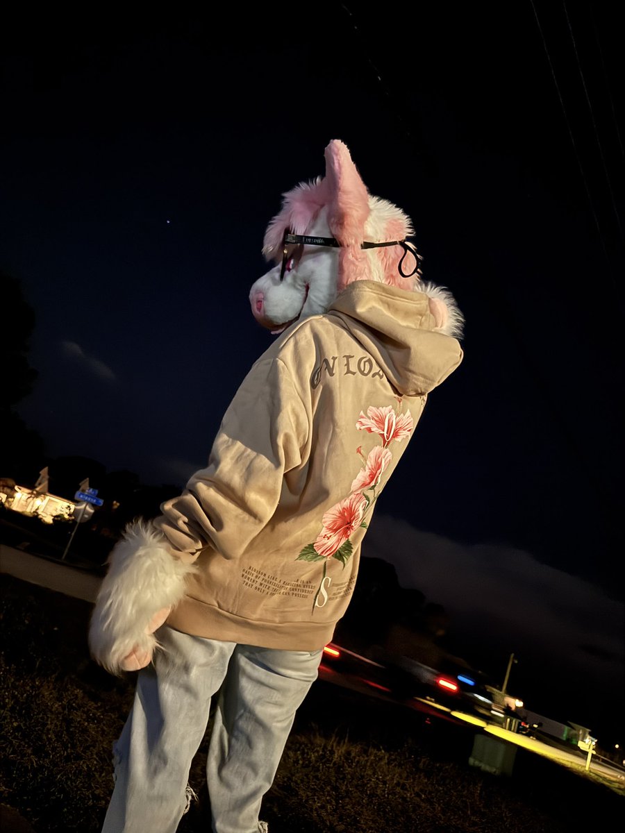 💨BONGGDAWGG💨🔜LVFC tweet media