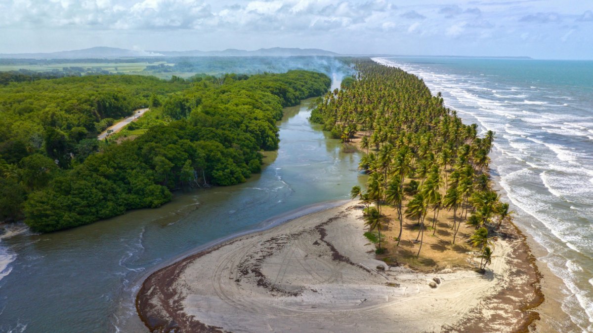 UD College of Earth, Ocean and Environment tweet media