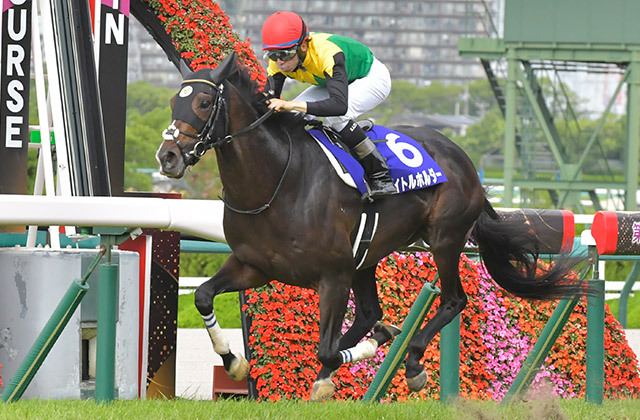 タイトルホルダー産駒、何気に楽しみ。 #タイトルホルダー #菊花賞