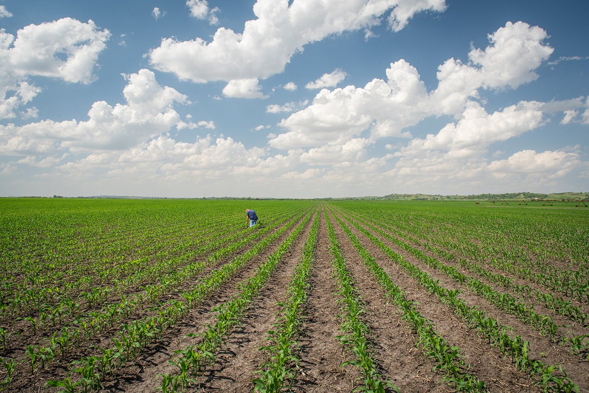 Rob-See-Co tweet media