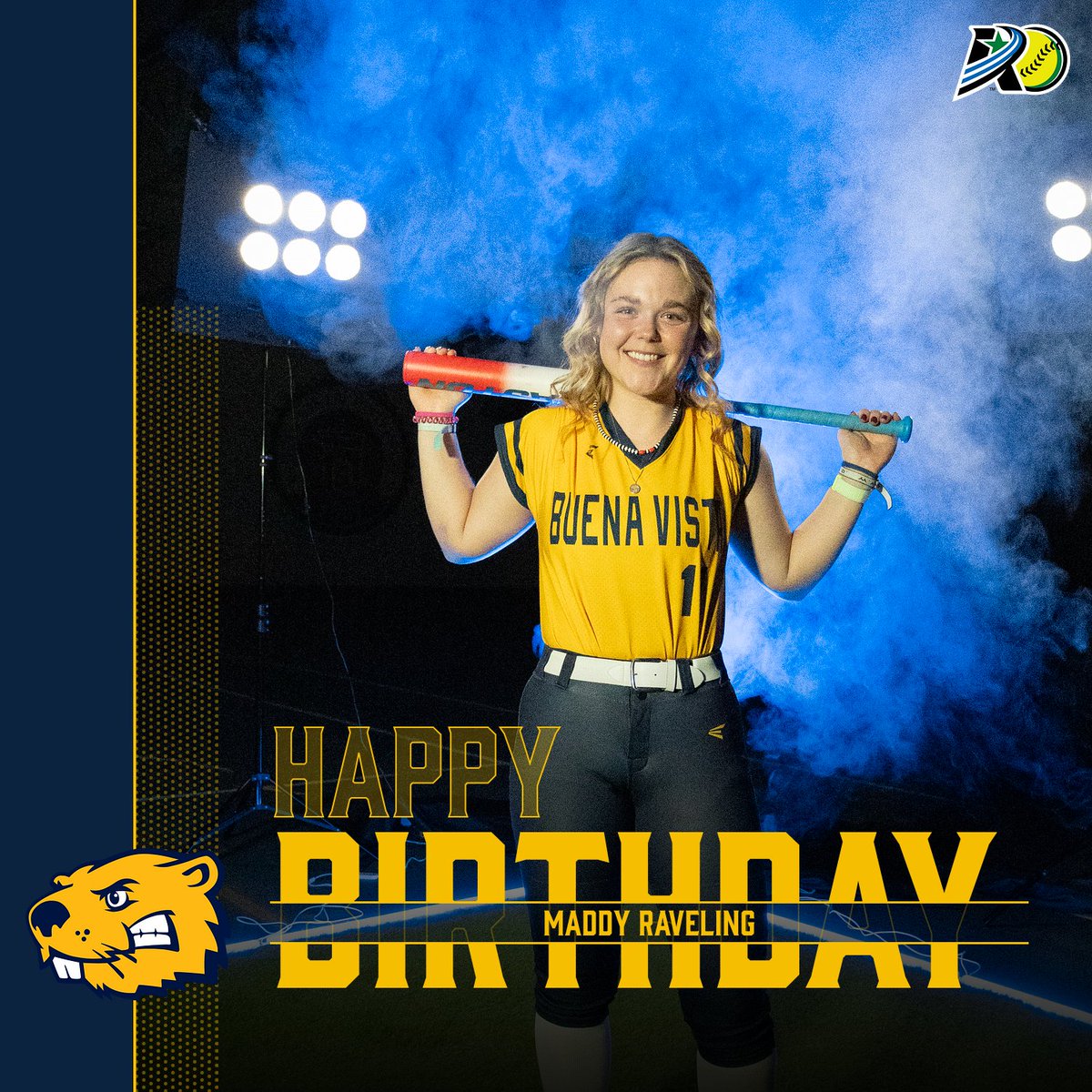 BVU Softball tweet media