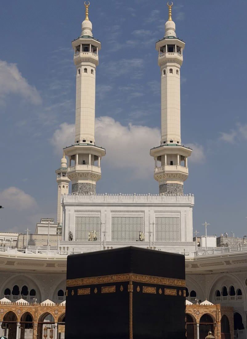 عائشة الشيزاوي | 🕊 tweet media
