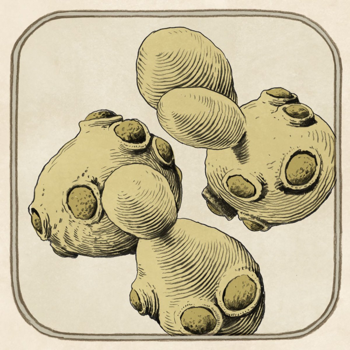 Directory of Illustration tweet media