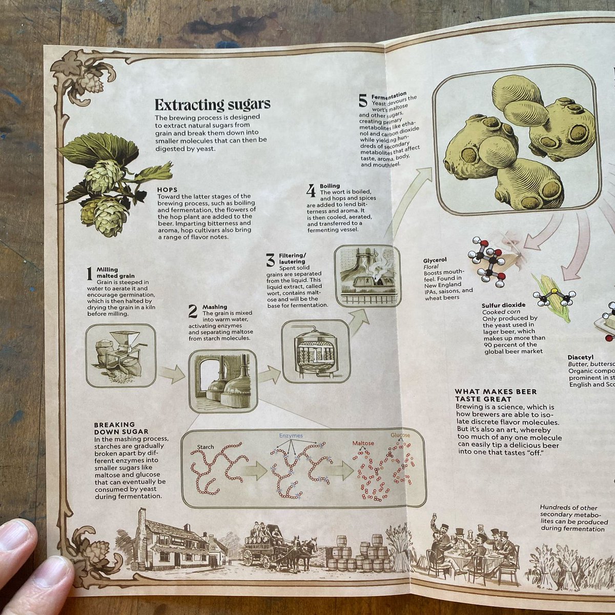 Directory of Illustration tweet media