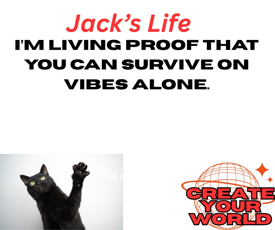 create3262's tweet photo. 😱🐈‍⬛ I exist to elevate your day and annihilate your excuses. #CreateYourWorld https://t.co/hxfyAodB1p