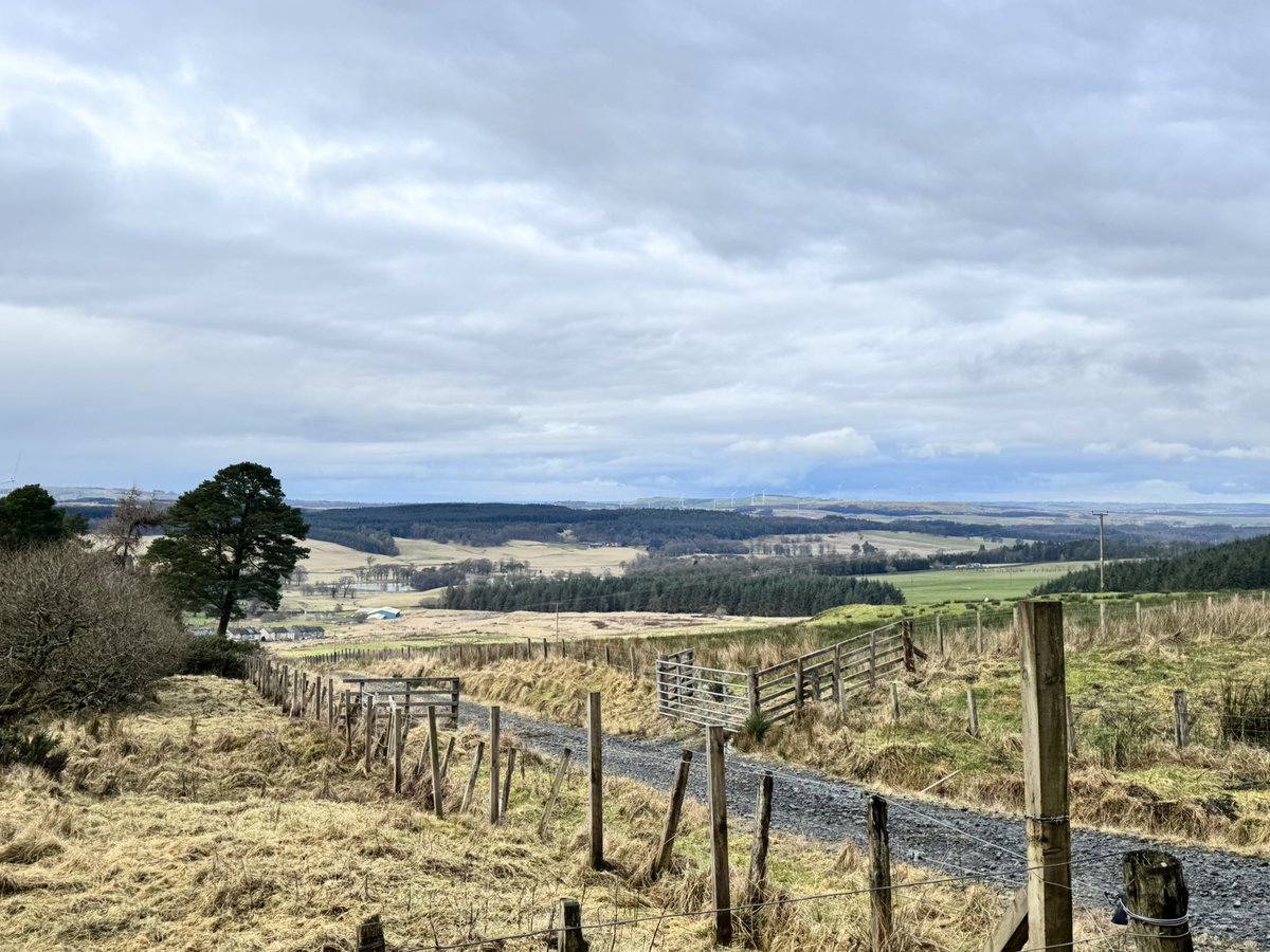 Here we go, what is the point of cutting down trees to put wind turbines up?🫣