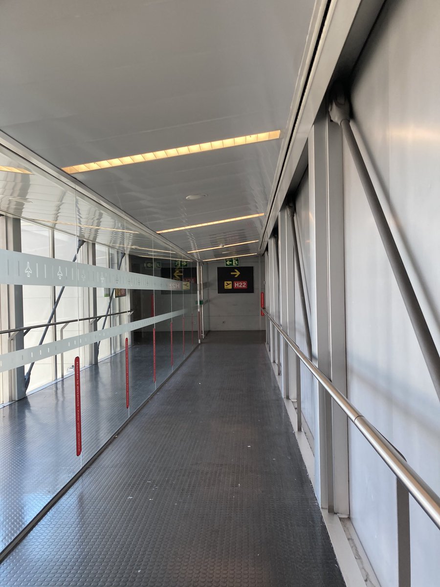 𝐑𝐨𝐛𝐞𝐫 🕊 tweet media