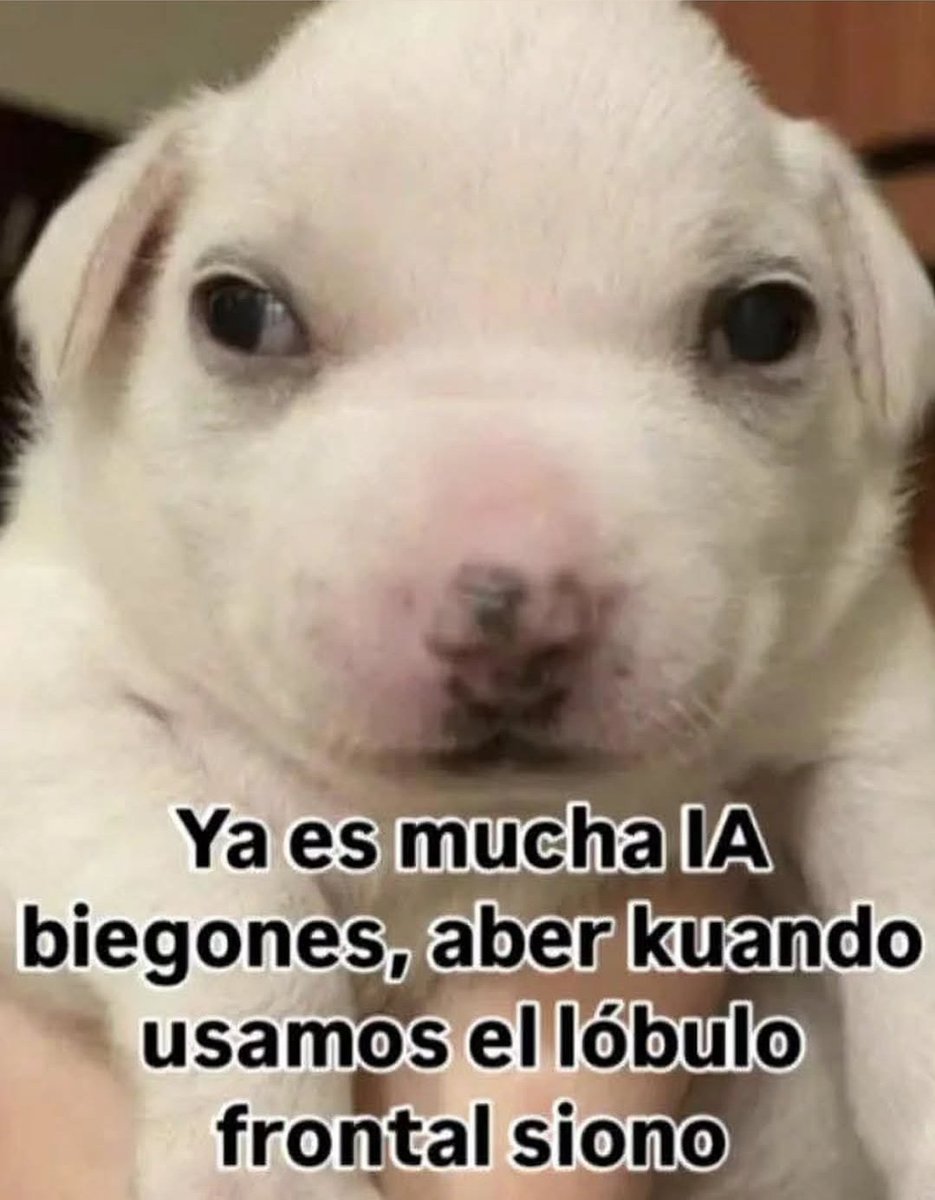 Si van a aprender, aprendan algo útil, no sus mamadas de prompts