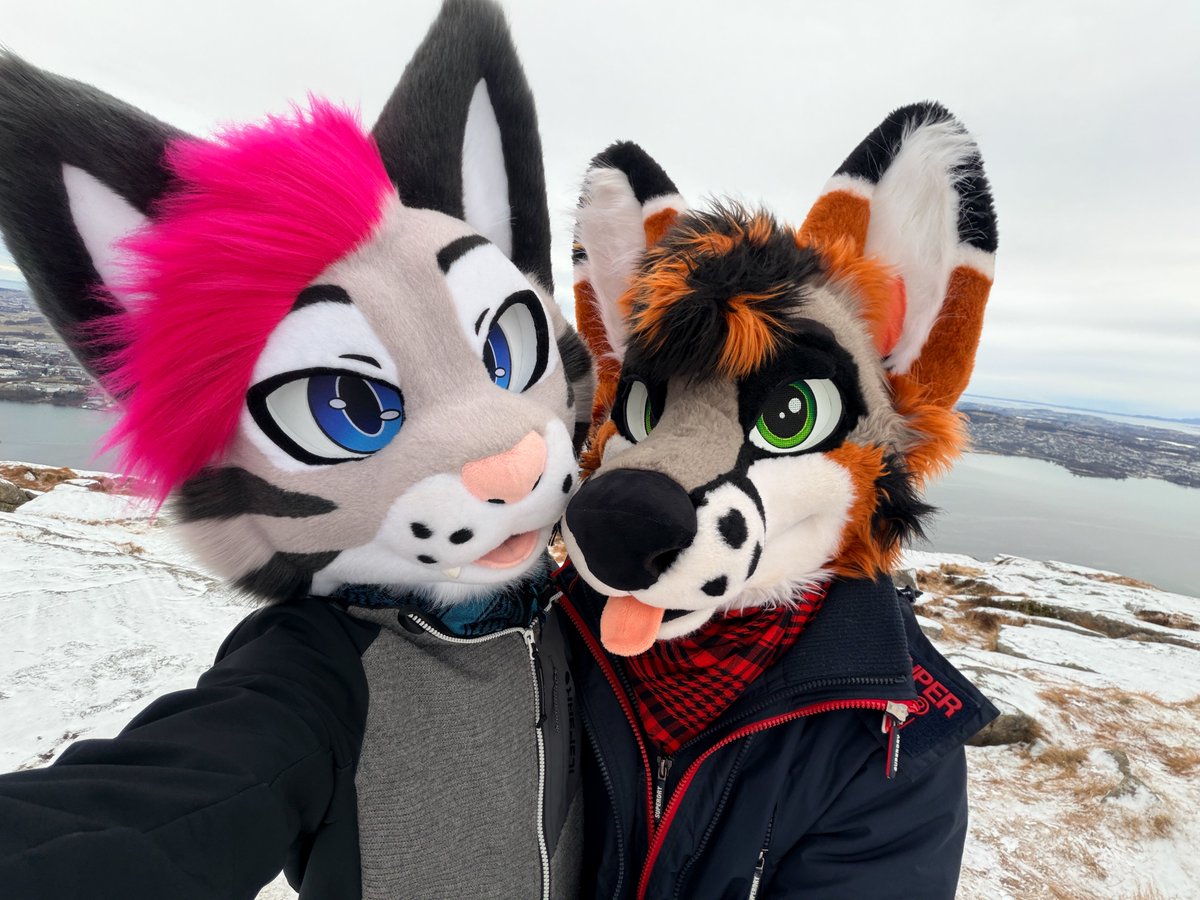 Soju cat ➔ LVFC, CFZ tweet media