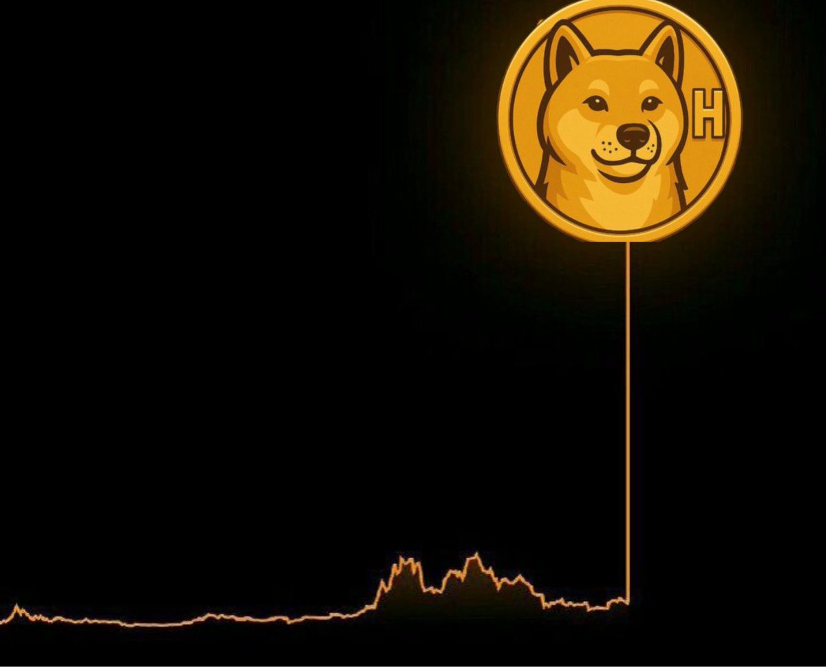 $HACHIKO is gaining serious attention from the market

TierS KOL <a href="/kriptosorcerer/">SORCERER</a> is giving strong support. This feels like the early $NEIRO days with <a href="/trader1sz/">TraderSZ</a>

One god candle can change everything and 100M comes fast when momentum hits

Fully bullish on HACHIKO 🐕🚀

$BNB #BNB