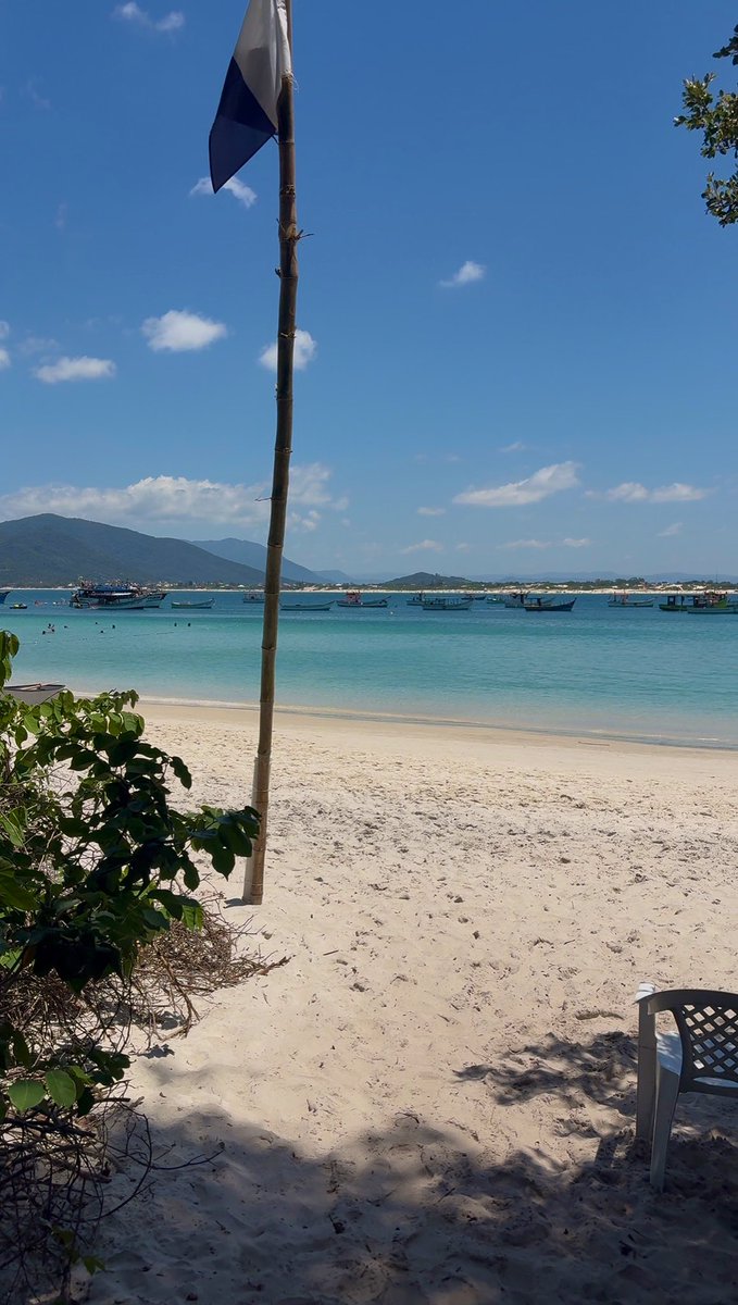 Jack’s World 🌎 tweet media