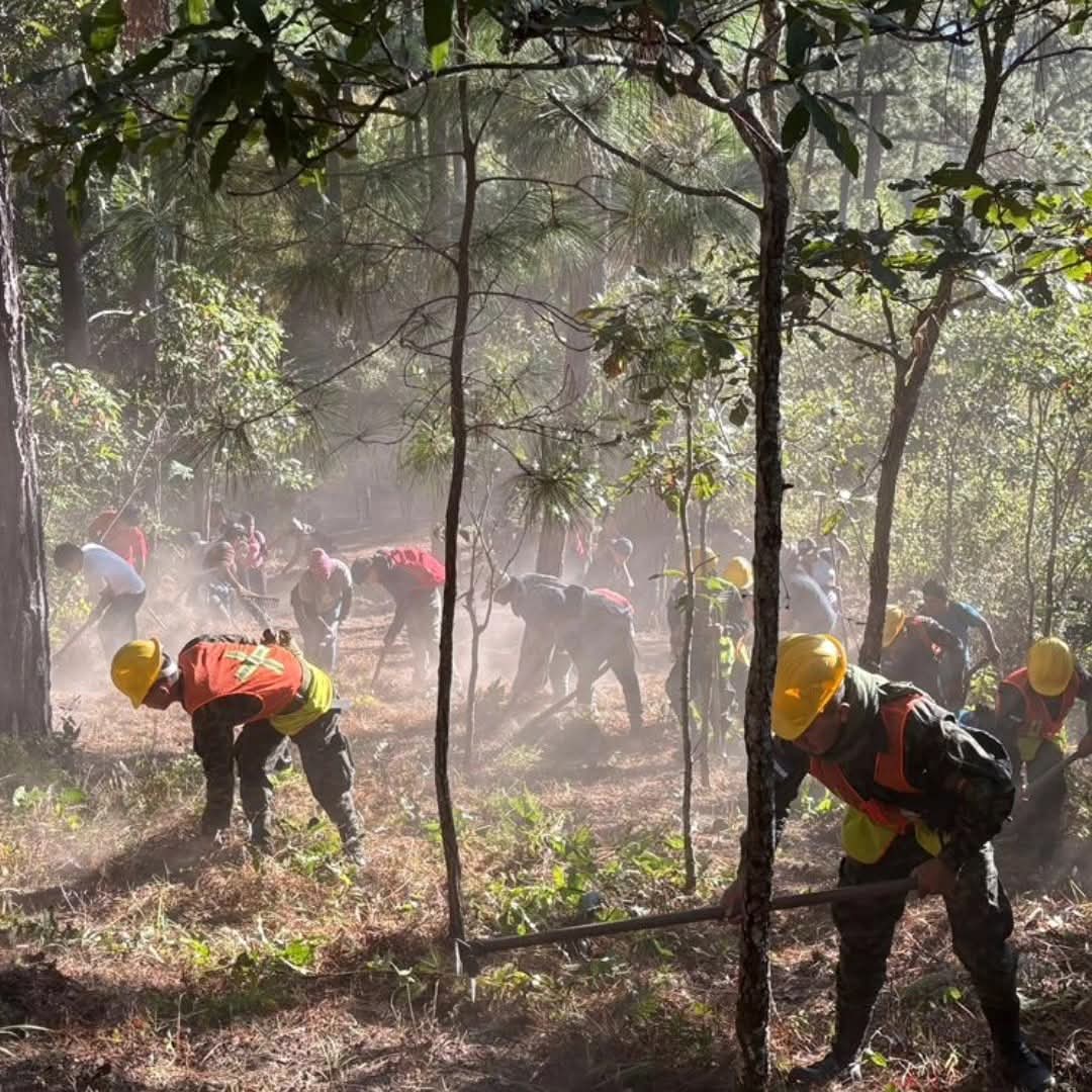 FFAAHN's tweet photo. #ProtecciónAmbiental || Cómo parte de las acciones de prevención de incendios forestales, las #FFAA a través de efectivos del Décimo Séptimo Batallón de Infantería en coordinación con el Centro de Operaciones Interinstitucional de Incendios Forestales #COIIF, llevaron acabo rondas cortafuego en la zona de amortiguamiento del Parque Nacional de Montaña Celaque, con el objetivo de reducir riesgos y proteger los recursos naturales de la zona.