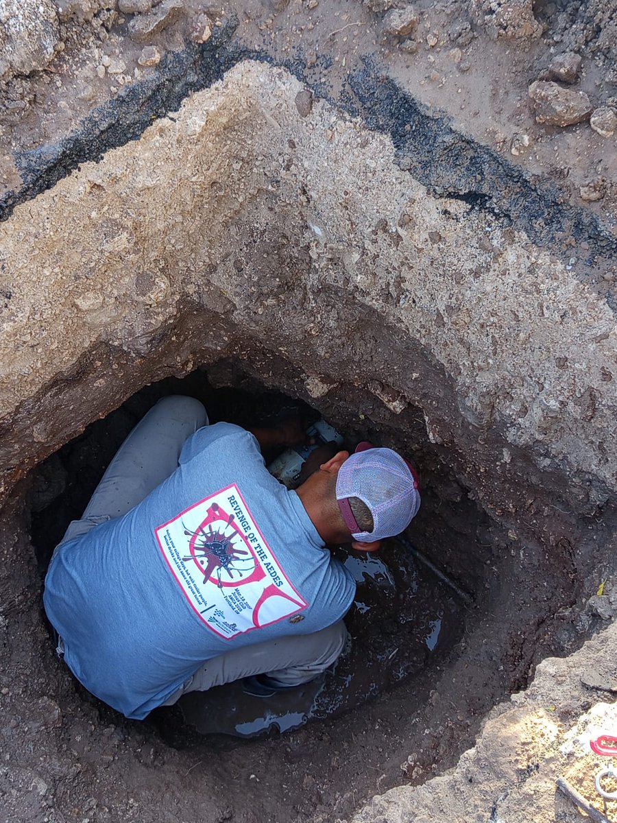 Comapa Reynosa tweet media