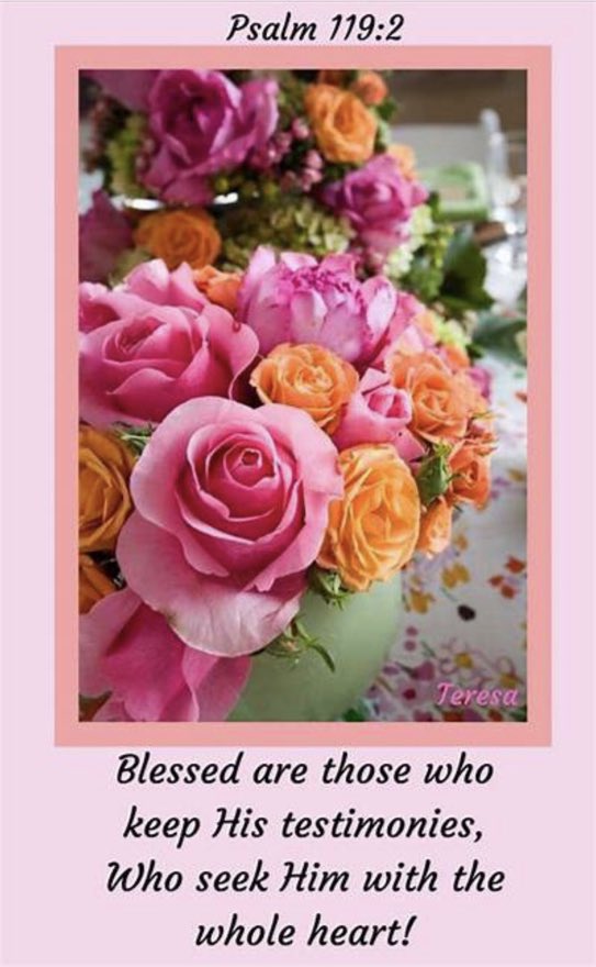 Rachel Jill tweet media